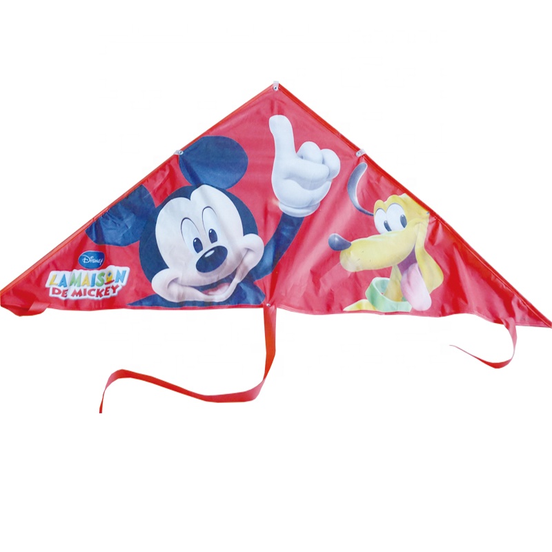 Promotional Triangle Kite,Kites