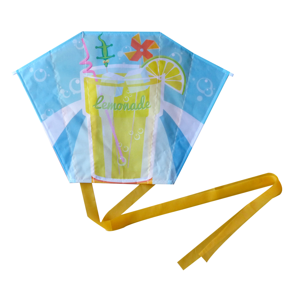 Promotional Pocket Kite,Kites